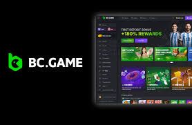 Support For Bc Game Comprehensive Assistance for BC Game Users